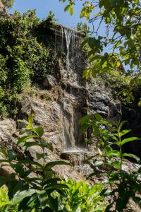 a waterfall on the side of a cliff with plants at Eco Hotel Oceanomare in Florianópolis