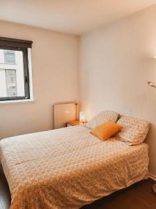 1 dormitorio con 1 cama con 2 almohadas en Bel appartement au calme avec parking, en Lyon
