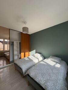 1 dormitorio con 2 camas y pared en Gîte T3 cœur de ville, en Sully-sur-Loire