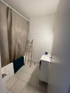 La salle de bains est pourvue d'une douche, d'un lavabo et d'une échelle. dans l'établissement Appartement 2 chambres / parking, à Agen