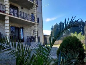 a building with a balcony and a plant in front of it at Guest House Dimitri in Chakvi
