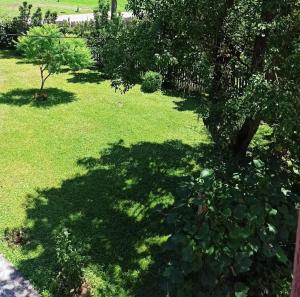 a shadow of a tree on a field of grass at Drinska lepota in Ljubovija