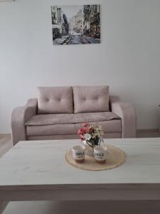 Posezení v ubytování Bogdan Apartmani