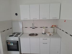 Kuhinja oz. manjša kuhinja v nastanitvi Bogdan Apartmani