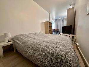 1 dormitorio con 1 cama y TV en 001 T2 Immeuble Persévérance, en Conflans-en-Jarnisy