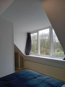 Schlafzimmer mit einem Bett und einem Fenster in der Unterkunft Ruim huisje op een prachtige plek in Hemrik