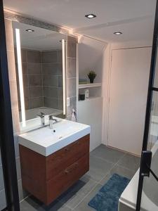 ein Badezimmer mit einem Waschbecken und einem großen Spiegel in der Unterkunft Ruim huisje op een prachtige plek in Hemrik