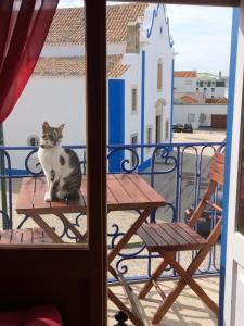 un gato sentado en una mesa en un balcón en Casa Da Avó 2, en Ericeira