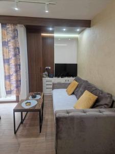 Televisi dan/atau pusat hiburan di Apartman Katarina