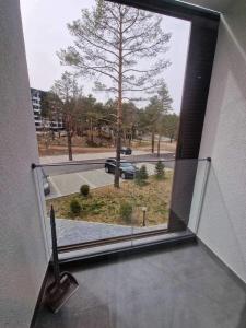 Galeri foto Apartman Katarina di Divcibare