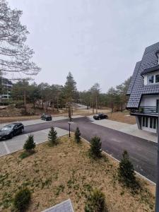 Lingkungan di sekitar atau di dekat apartemen