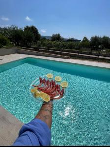 eine Person, die einen Teller Essen in einem Pool hält in der Unterkunft B&B Caput Mundi-Calabria in Santa Maria del Cedro