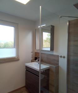 uma casa de banho com um lavatório e um espelho em Bergblick em Thale