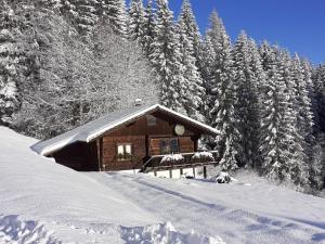 Obiekt Urlaub im Blockhaus zimą