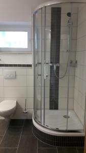 a bathroom with a glass shower with a toilet at Ferienwohnung Alona in Garz