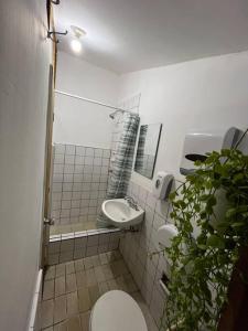 ein Bad mit einem WC und einem Waschbecken in der Unterkunft “Casa Yma Sumac” in Cajamarca