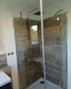 um chuveiro com uma porta de vidro na casa de banho em Bergblick em Thale
