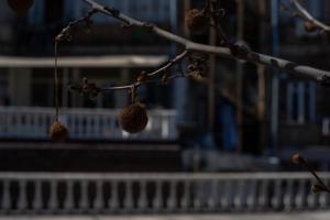 Fotografie z fotogalerie ubytování Triple eight hotel v destinaci Tbilisi City