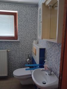 y baño con lavabo blanco y aseo. en Dolenjska vila, en Žužemberk
