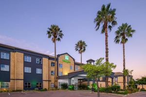 肯普顿帕克Holiday Inn Johannesburg OR Tambo Airport Hotel by IHG的棕榈树酒店 ⁇ 染