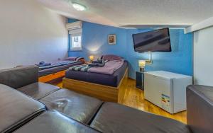 Μια τηλεόραση ή/και κέντρο ψυχαγωγίας στο Ferienhaus Pošesi