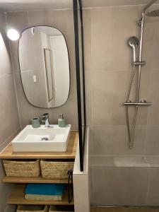 a bathroom with a sink and a shower at Duplex FACE AU LAC à 600 mètres de la mer in Six-Fours-les-Plages