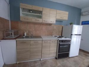 a kitchen with a white refrigerator and a sink at poros apartment in garden in Poros