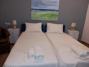 een slaapkamer met twee bedden met handdoeken erop bij poros apartment in garden in Poros +17 foto's