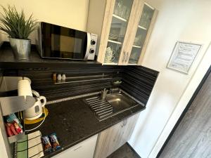Kuchnia lub aneks kuchenny w obiekcie Apartmány Karlovy Vary