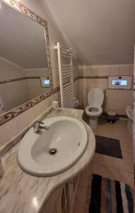 een badkamer met een wastafel, een toilet en een spiegel bij Casa da Oliveira in Pegarinhos