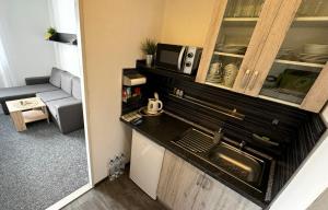 Kuchnia lub aneks kuchenny w obiekcie Apartmány Karlovy Vary