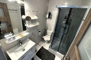 een badkamer met een douche, een wastafel en een toilet bij Apartmány Karlovy Vary in Karlsbad