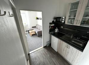 Kuchnia lub aneks kuchenny w obiekcie Apartmány Karlovy Vary
