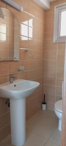 La salle de bains est pourvue d'un lavabo et de toilettes. dans l'établissement 3 bedroom Villa in Pyla, à Larnaka