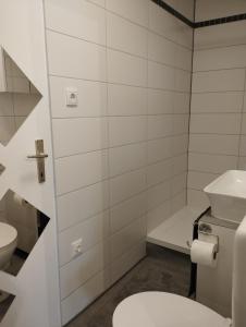 a white bathroom with a toilet and a sink at Studio Sonnenhang Würnitz in Würnitz