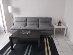 a living room with a couch and a coffee table at Appartement Lyon 7 Gerland in Lyon