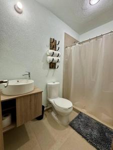 a bathroom with a toilet and a sink and a shower at Casa Costa Azul in Las Dos Palmas +10 photos