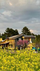 a house in the middle of a field of yellow flowers at Casa da Oliveira in Pegarinhos