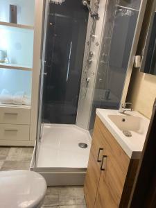 Ένα μπάνιο στο BM apartament SPA jacuzzi & sauna na WYŁĄCZNOŚĆ