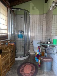 ein Badezimmer mit Dusche, Toilette und Waschbecken in der Unterkunft Acogedor alojamiento para familias in Abadiano Celayeta
