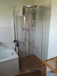 a shower with a glass door in a bathroom at Haus Toni in Bad Füssing