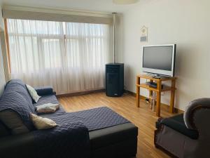 a living room with a couch and a flat screen tv at Anjú-Pardal in Mogadouro