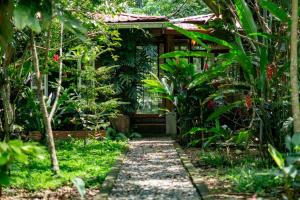 um jardim com um caminho que leva a uma casa em Chalet Santacruz, Casa entera en la naturaleza em Nueva Loja