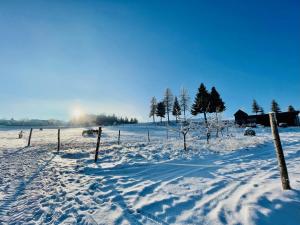 ein schneebedecktes Feld mit Bäumen und einem Zaun in der Unterkunft Kroneggerhof in Altmelon