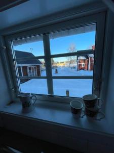Järvsöstugan during the winter