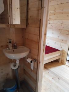 a bathroom with a sink and a bunk bed at Katun Siska Medna Dolina in Berane