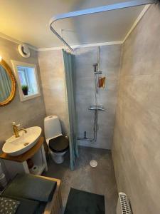 W łazience znajduje się umywalka, toaleta i prysznic. w obiekcie Järvsöstugan w mieście Järvsö