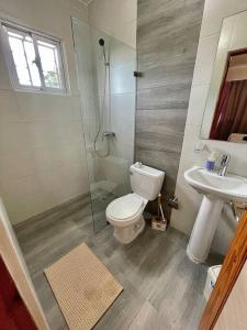 a bathroom with a toilet and a shower and a sink at Apartamento con terraza & BBQ in Mendoza