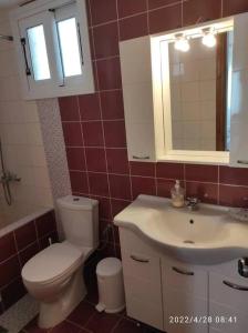 a bathroom with a toilet and a sink at Garden Ηouse 3 in Plomari +46 photos