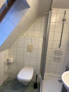 a bathroom with a toilet and a shower at Ferienwohnung Zwätzi in Jena